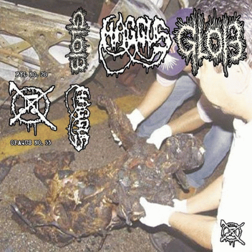 Haggus : Glob - Haggus